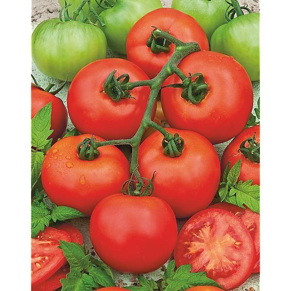 -⁢ El tomate como⁤ aliado de ⁢la ⁤belleza: usos ⁤naturales para⁢ tu ⁢piel