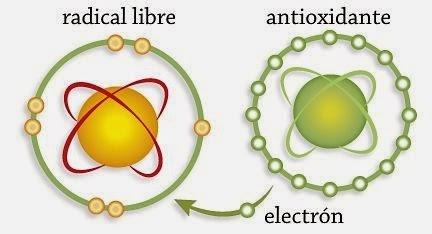 - El⁤ poder antioxidante y ⁤sus efectos​ en la ⁤salud